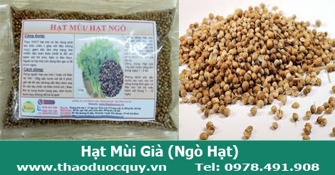 hạt m&ugrave;i sạch